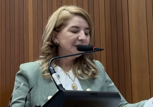 Na tribuna da Assembleia, Iracema Vale fala sobre eleições e faz balanço do mandato
